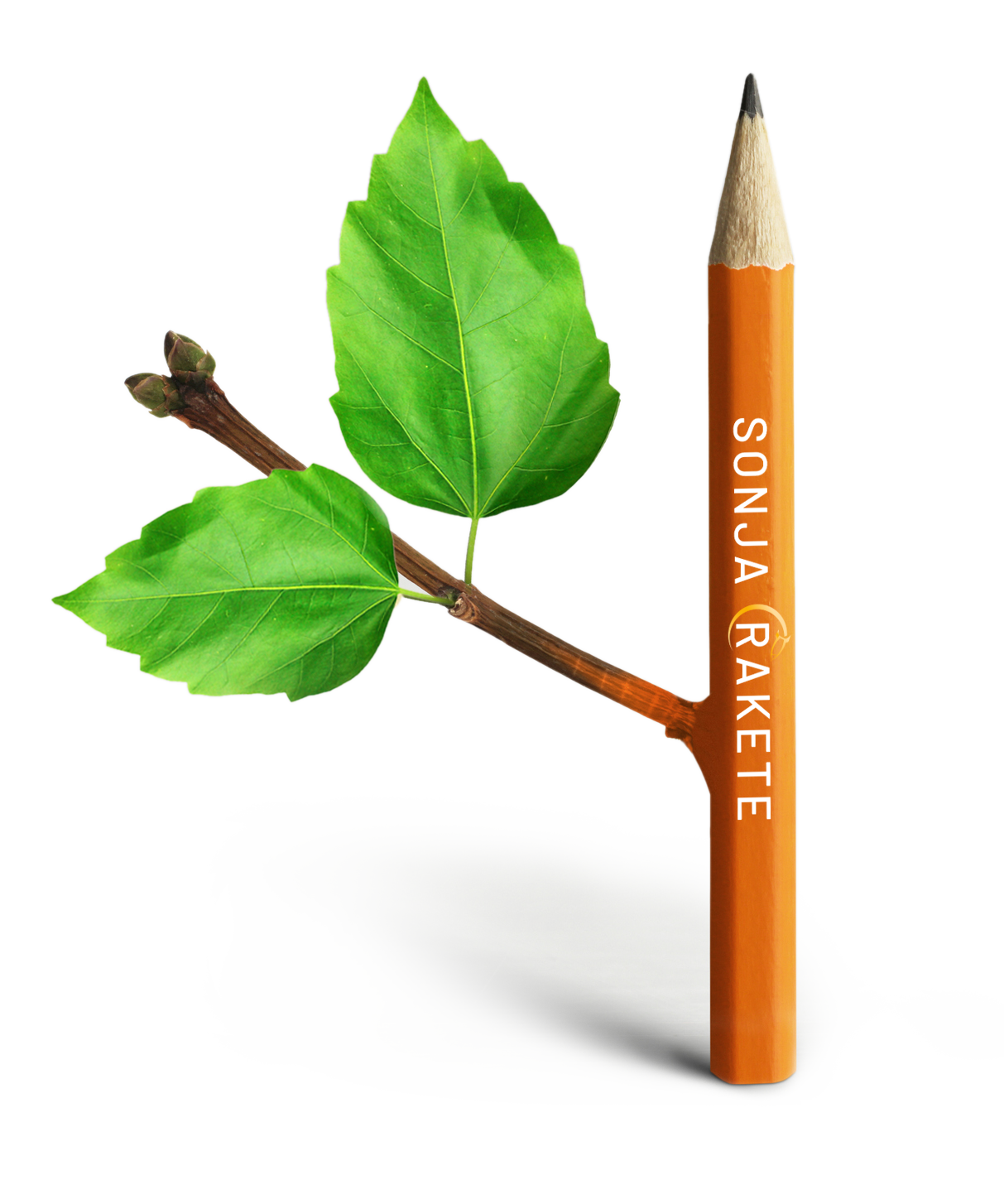 Bleistift mit Blättern symbolisiert Ideen